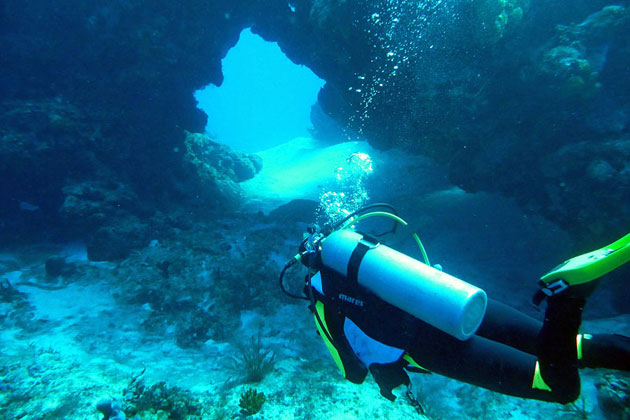 Cozumel Diving