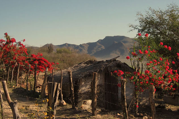 Alamos Mountains