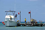 Cozumel Diving