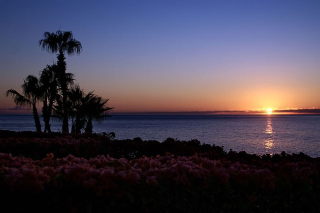 San Jose del Cabo Sunrise