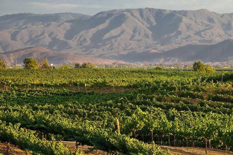 Visit Temecula Valley