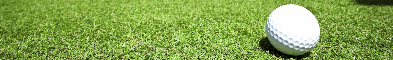 This is a generic image, it is NOT an image of Santa Teresa Country Club, Yucca go-mexico.com Travel Info