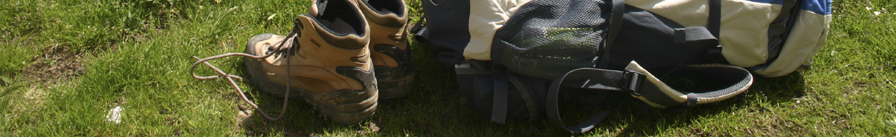 This is a generic image, it is NOT an image of The South Rim go-mexico.com Travel Info