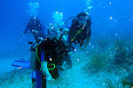 Scuba Diving near Playa del Carmen